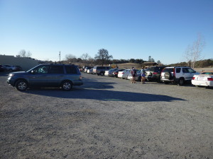 Lots of cars!