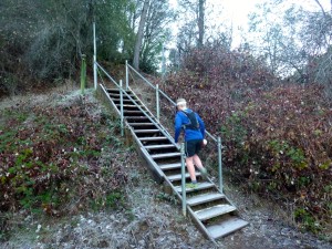 A little stair workout? Sure.