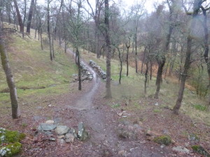 Wild Oaks Trail