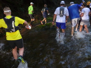 Why hello stream crossing!