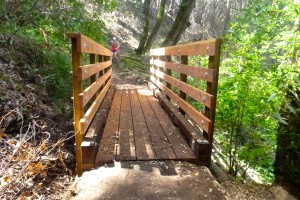 There was a new bridge on the trail, just not where I thought it was going to be.