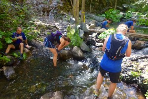 Everyone stopped to cool off in the stream