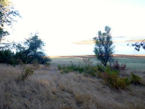 Folsom Lake