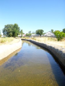 The Canal