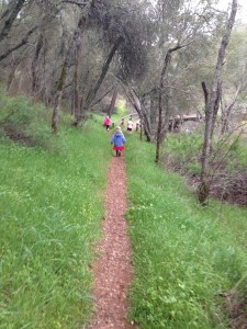 Exploring the trails