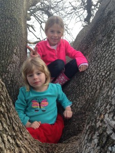 My monkeys just climbed trees and had a blast playing around