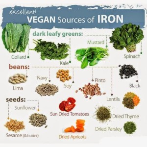 Graphic from http://www.carlagoldenwellness.com/2015/02/05/nutrition-only-in-animal-based-foods/