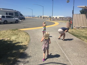 I hate stopping at rest-stops as they have crazy pigeons and seagulls that attack you