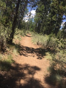 It was HOT! But a nice trail.