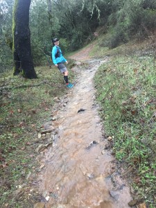 No trail. Just mini rivers all day.