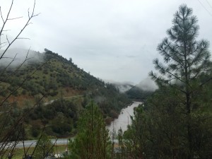 More amazing fog in Auburn and Cool - above Quarry Road