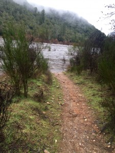 Um, where did the trail go? 