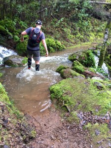 More water to wade through