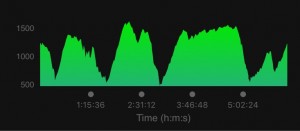 Course Profile