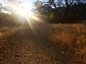 Local trails. So lucky. 