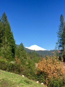 Mt Shasta