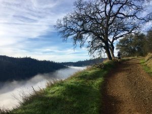 Scenes from the trail.