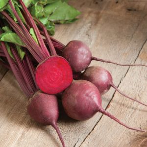 Photo: Red Ace Round Beets